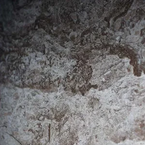 ترافنتينو بني مصري